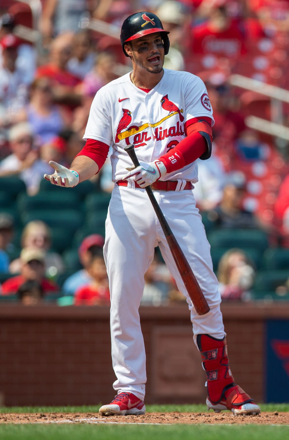 Cardinals take on Reds